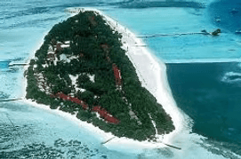 Surf Spot Observatory